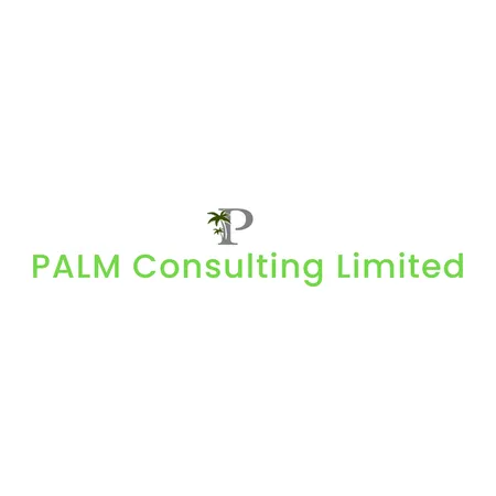 Palm_Consulting_450
